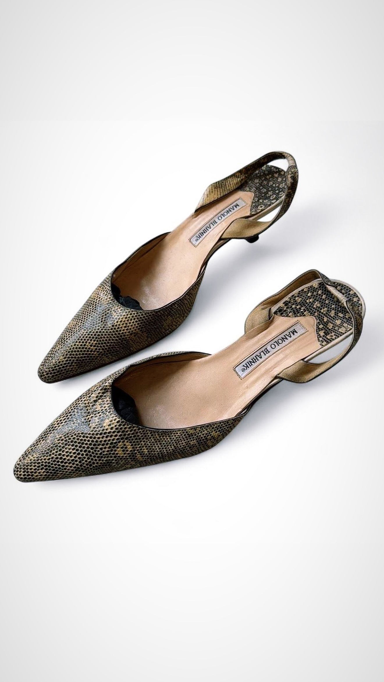 Manolo Blahnik Snakeskin Kitten Heel